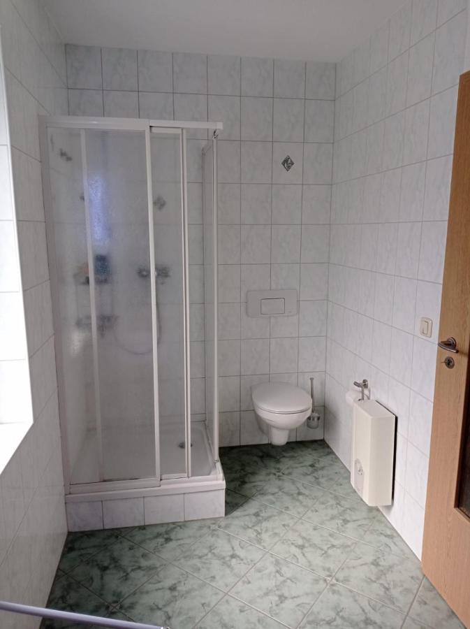 Ferienwohnung Greifenbach, Gartennutzung, Haustiere Willkommen Geyer ภายนอก รูปภาพ