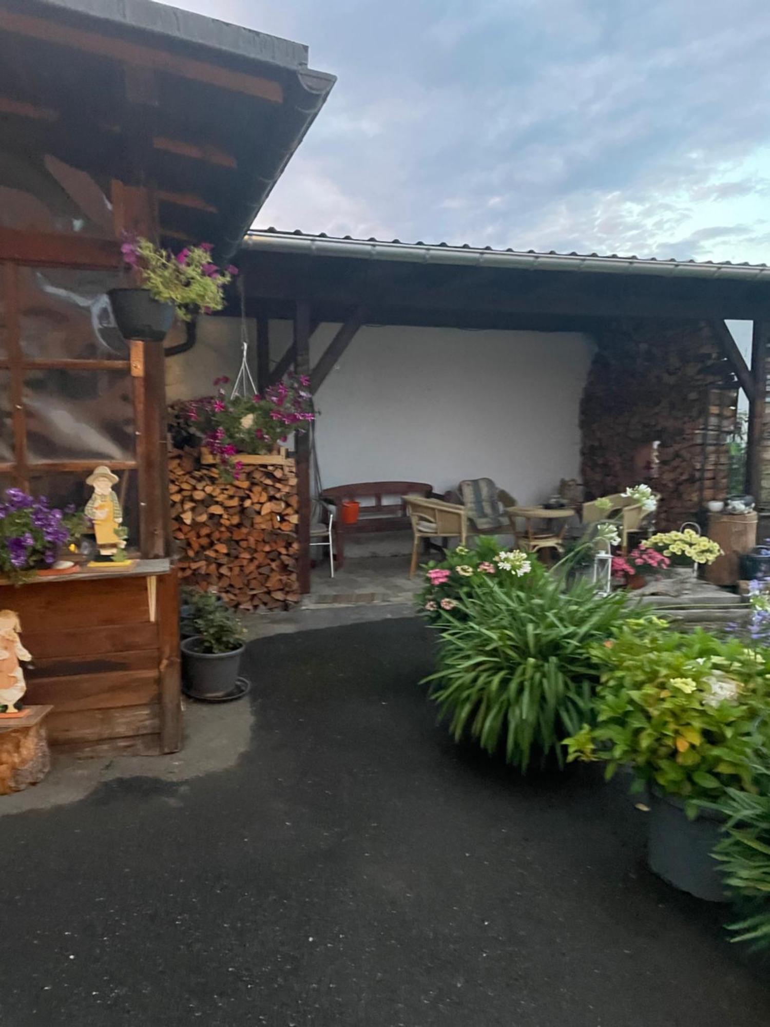 Ferienwohnung Greifenbach, Gartennutzung, Haustiere Willkommen Geyer ภายนอก รูปภาพ