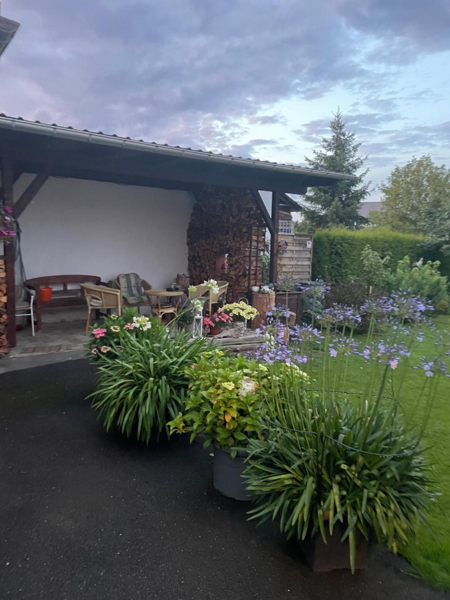Ferienwohnung Greifenbach, Gartennutzung, Haustiere Willkommen Geyer ภายนอก รูปภาพ