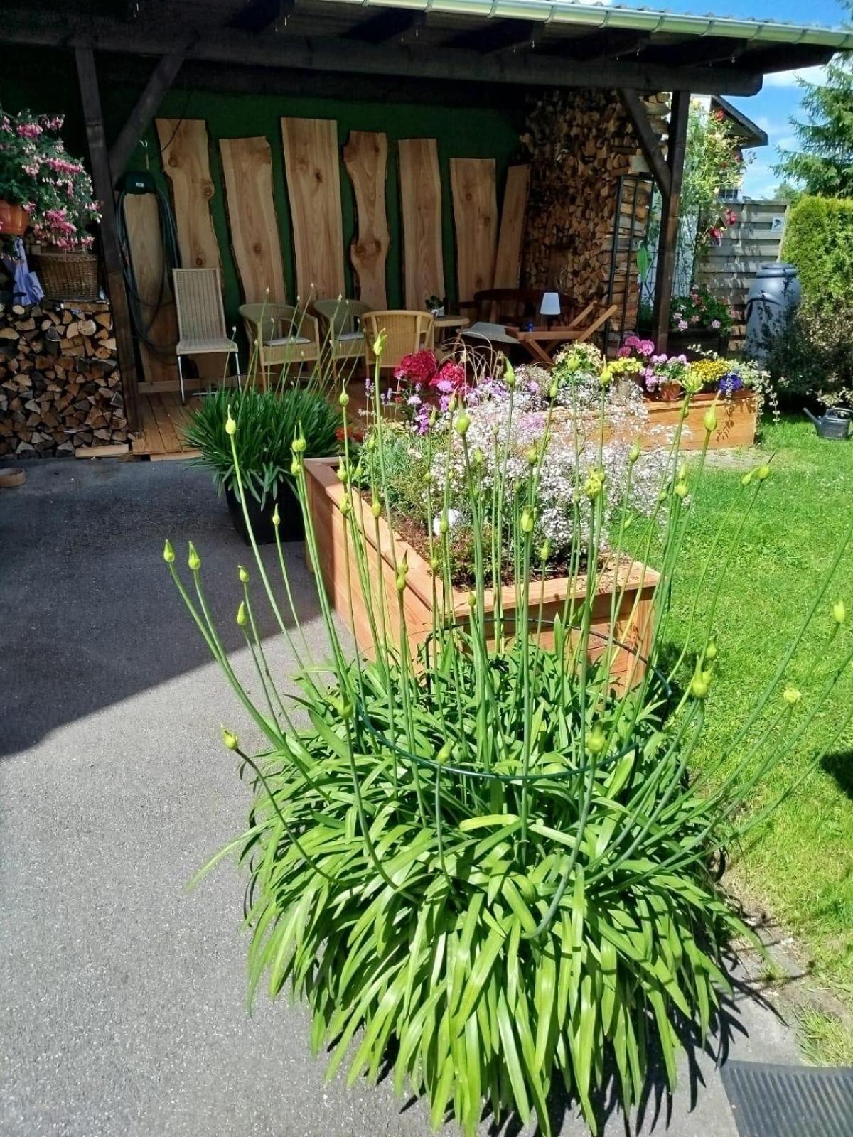 Ferienwohnung Greifenbach, Gartennutzung, Haustiere Willkommen Geyer ภายนอก รูปภาพ